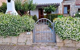 Frank'S Home